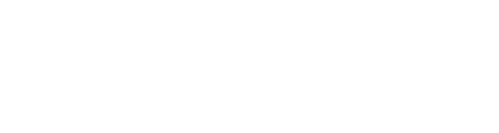 The Data Scientist