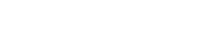 eCommerce Fastlane